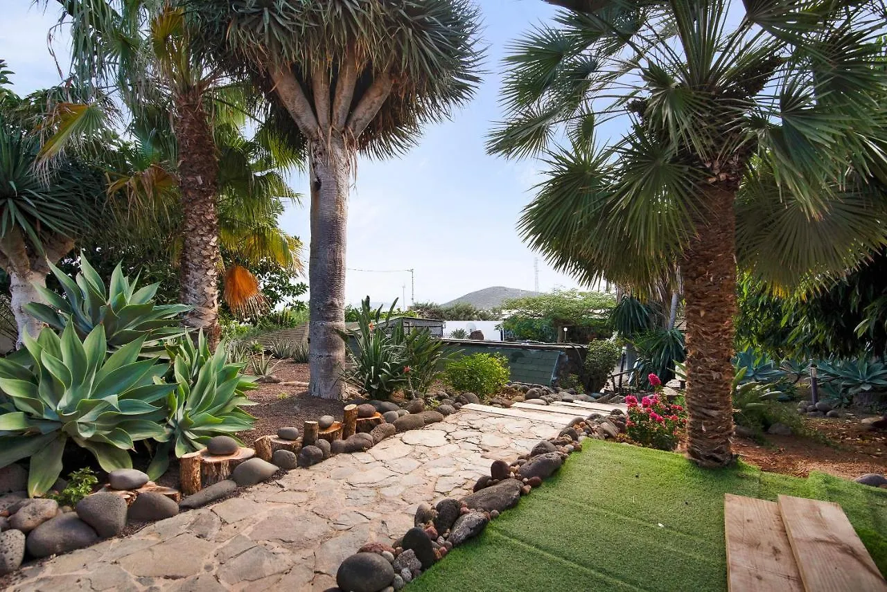 Finca Palmeras Ingenio